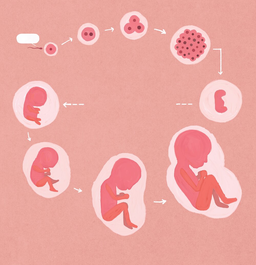 Cum am ajuns aici?, Philip Bunting, Editura Vlad și Cartea cu Genius